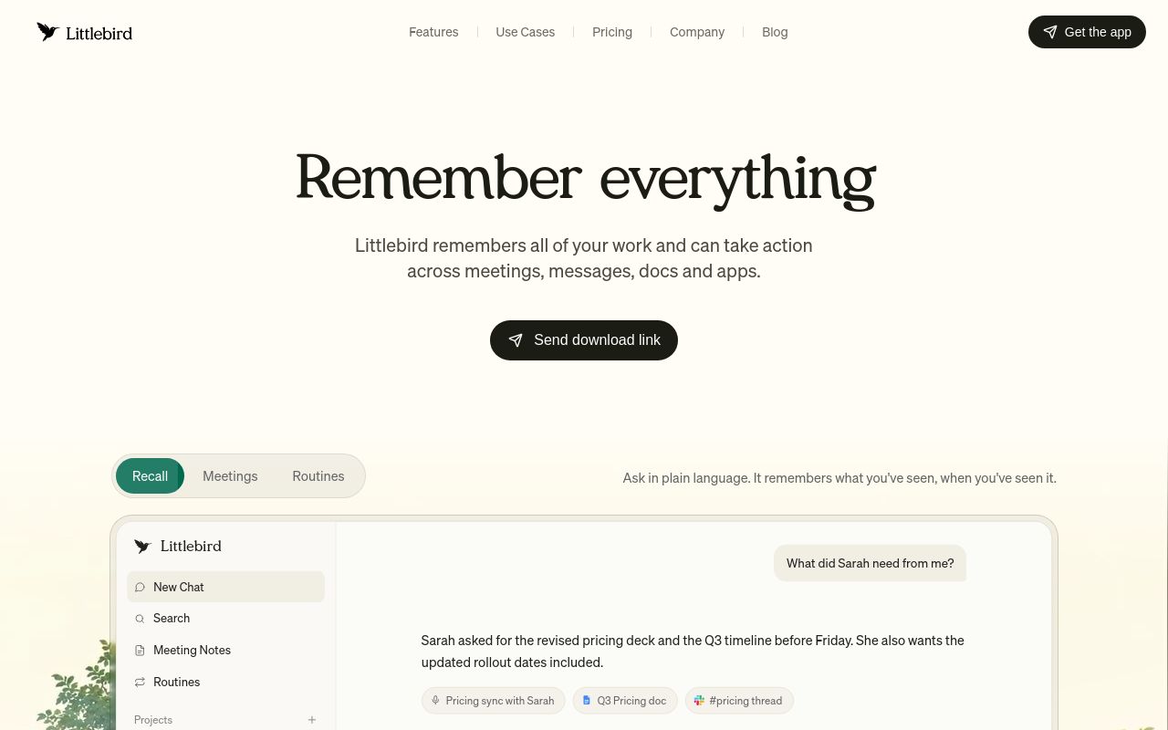 Screenshot of the Littlebird homepage